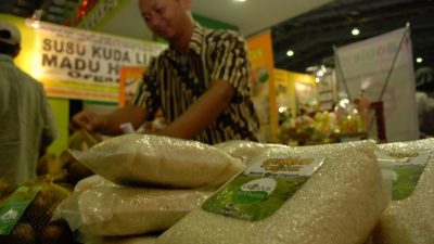 Kemendag Dorong Penyediaan Fasilitas Pembiayaan Ekspor Produk Organik Indonesia