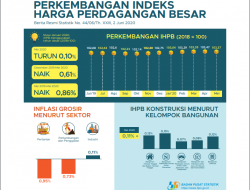 IHPB Umum Nasional Turun 0,10 Persen Pada Bulan Mei 2020