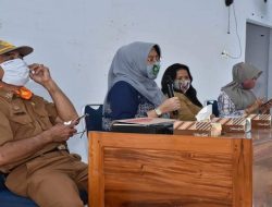 Ketua TP PKK Pinrang Lakukan Sosialisasi New Normal