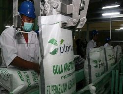 Holding Perkebunan Nusantara Targetkan Produksi Gula Capai 1 Juta Ton