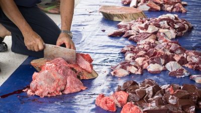 Berikut 3 Golongan Yang Berhak Menerima Daging Kurban