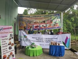 Terdampak Covid-19, 2 UMKM di Mamuju Peroleh Bantuan CSR PLN Peduli