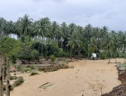 Banjir Bandang Hanyutkan 29 Rumah di Bolaang Mongondow Selatan