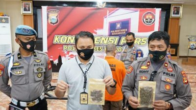 Jual Ganja, 1 Mahasiswa di Makassar Diciduk Polisi