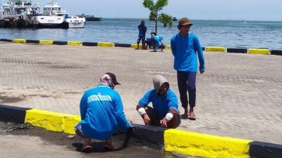 Giat Padat Karya, 100 TKBM Lakukan Pengecatan Trotoar Pelabuhan Makassar