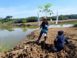 Bugis Land Festival 2020 Bertabur Kuliner Indonesia, Penanaman Bibit Pohon Dan Fun Bike