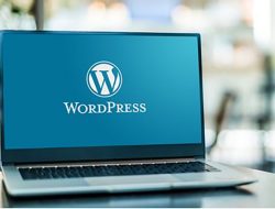 Inilah 5 Alasan Mengapa Harus Menggunakan Platform WordPress