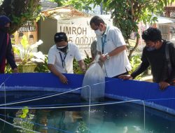 Bekerjasama dengan Econatural, PT Pegadaian Kanwil VI Bantu Budidaya Ikan Nila di Somba Opu