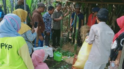 Terapkan Pertanian Ramah Lingkungan di Blok Bahodopi, PTVI Latih Kelompok Tani