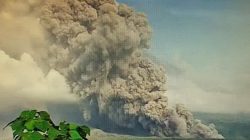 Erupsi Gunung Semeru, BNPB Catat Sebanyak 1.979 Jiwa Mengungsi
