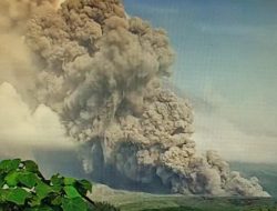 Erupsi Gunung Semeru, BNPB Catat Sebanyak 1.979 Jiwa Mengungsi