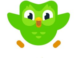 Kode Promo Duolingo 2023, Begini Cara Tukarnya