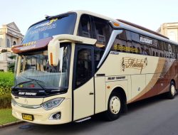 Melody Transport, Jasa Sewa Bus Pariwisata Terpercaya