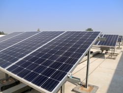 Harga Solar Panel: Panduan Lengkap untuk Investasi Energi Terbarukan