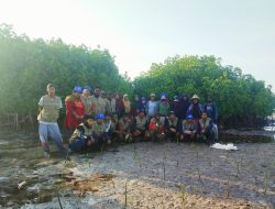 Dukung Program Indonesia FOLU Net Sink 2030, Maritim Muda Indonesia Cabang Pinrang, POKMASWAS dan Woman Mangrove Lakukan Penanaman Mangrove di Pulau Tanakeke