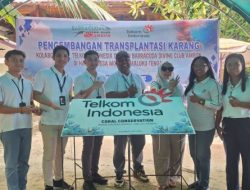 Lestarikan Ekosistem Laut, Telkom Regional V Bersama Barracuda Diving Club Tanam 2.000 Bibit Karang di Pantai Halassy