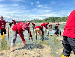Wujudkan Ekosistem Pesisir yang Lebih Tangguh, Pertamina Sulawesi Tanam 1.000 Mangrove di Kendari