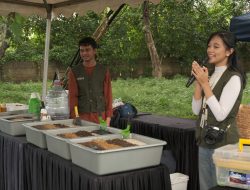 Kolaborasi Bukit Baruga dan Artani, Edukasi Basic Gardening & Composting dalam Workshop Baruga Berkebun