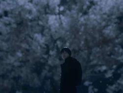 5 Centimeters Per Second Hadir Versi Live Action, Ini Sinopsis Lengkapnya